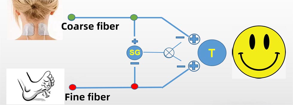 Neuromuscular Electrical Stimulation Device
